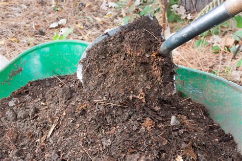 Composting Yard Waste- Recycle In Your Garden! - Essential Home And Garden