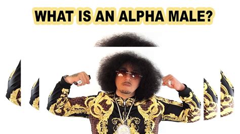 What Is An Alpha Man The Alpha Male Explained Shi Fu Describes An