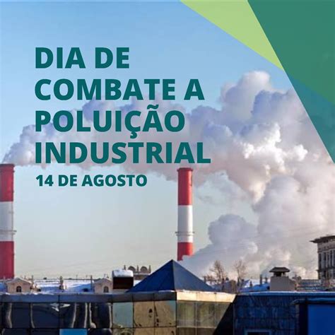 Como Combater A Poluição - FDPLEARN