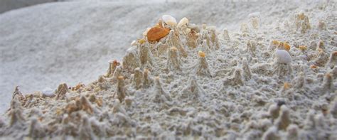 Каолин — описание ингредиента, инструкция по применению, показания и ...