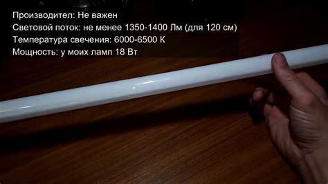 🔝👍🏻 Идеальное освещение для фиалок, стрептокарпусов и глоксиний - YouTube
