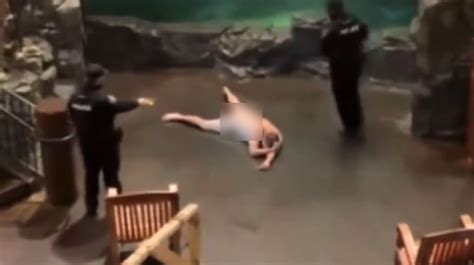 Guy Swims In Bass Pro Shop Tank Clearance Emergencydentistry