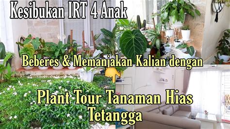 Kegiatan IRT 4 Anak Plant Tour Tanaman Hias Beberes Rumah YouTube