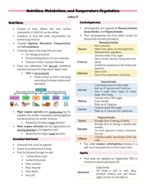 Introduction To Nutrition And Metabolism Fourth Edition 6