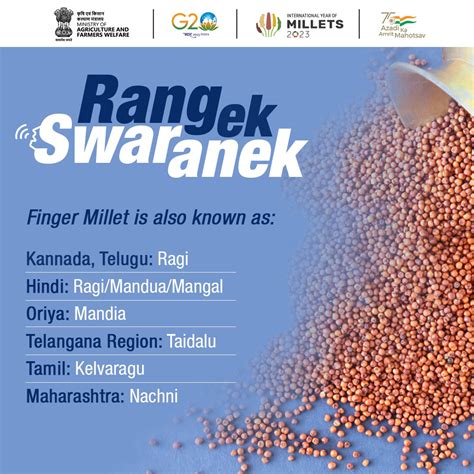 International Year Of Millets 2023 On Twitter Finger Millet Is Also