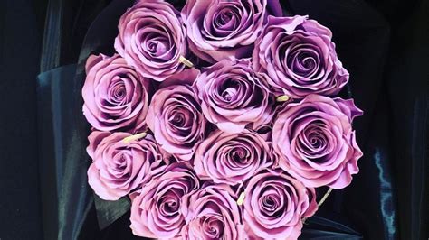 Purple Roses Meaning: A Comprehensive Guide - SONG OF ROSES