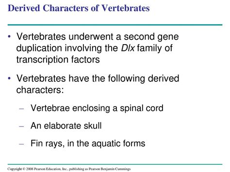 Chapter 34 Vertebrates Ppt Download