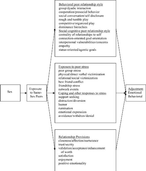 Figure 1 From A Review Of Sex Differences In Peer Relationship