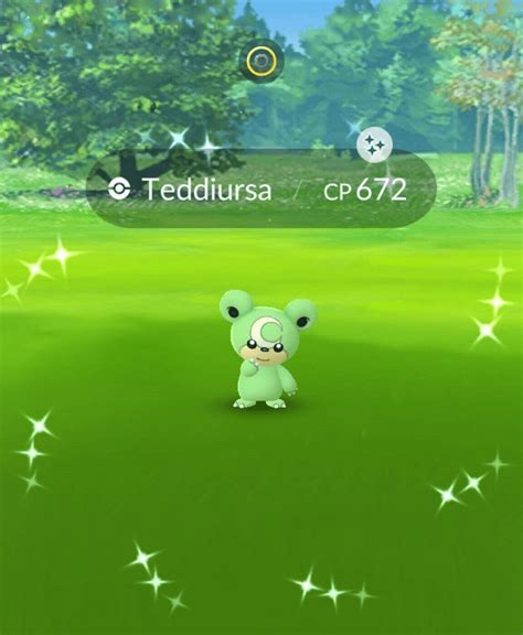 Can You Get Shiny Teddiursa In Pokémon Go Pokewolf