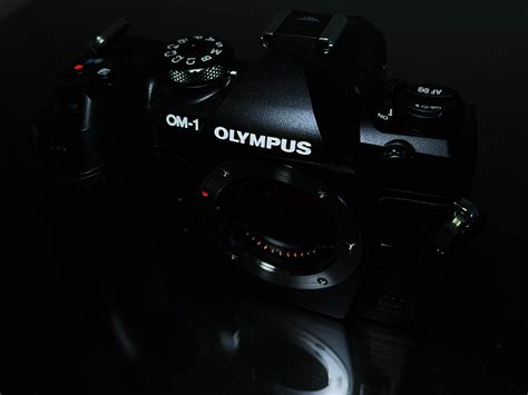 Om Systems Olympus Om For Wildlife First Impressions Review Oxbow