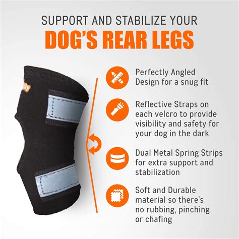 Buy Neoally Rear Leg Hock Brace With Metal Spring Strips Dog Leg Brace