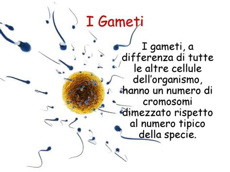 La Scienza Dellereditariet Ppt Scaricare