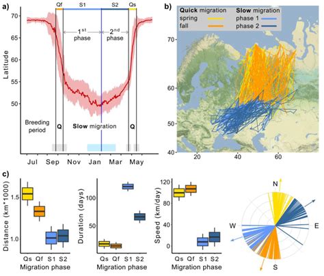 Quick and slow migration patterns of Rough-legged buzzards throughout... | Download Scientific ...