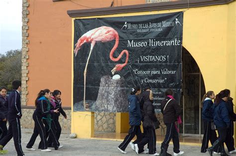 Museo Itinerante Del Museo De Las Aves De Mexico Municipio De Muzqu Z