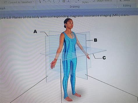 Body Planes Diagram Quizlet