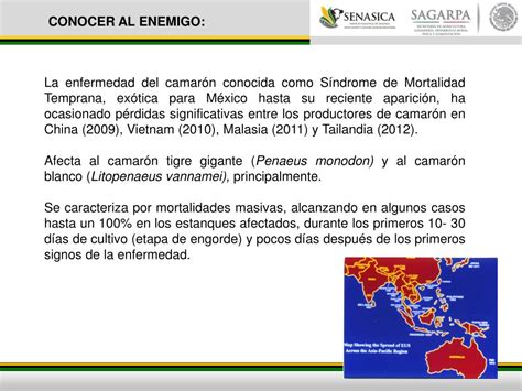 Ppt Dispositivo Nacional De Emergencia En Sanidad Acu Cola Dinesa