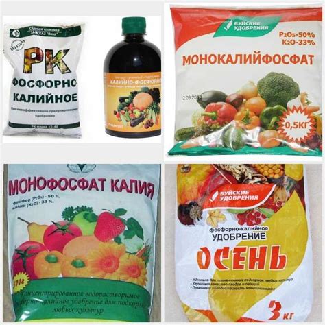 Калий и фосфор в каких удобрениях содержится: Удобрение с содержанием ...