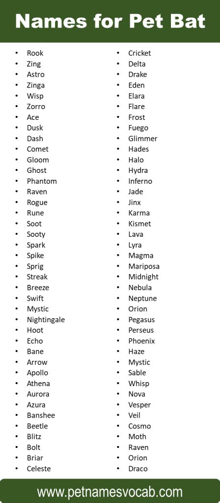 Top Catchy Names For Your Bat Pet Names Vocab