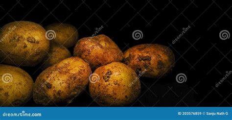 Bag Of Starch Rich Potatoes Isolated On A Black Background Stock Image