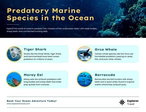 Marine Predators In The Ocean Infographic - Venngage