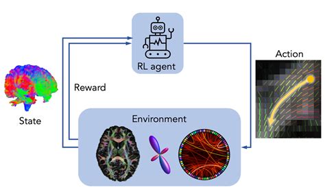 NOW CLOSED: Reinforcement Learning for Brain Connectivity Mapping with Tractography | UCL EPSRC ...