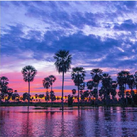 Bañado La Estrella un paraíso natural escondido en Formosa cultura