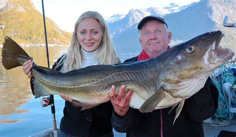 Рыба Треска Картинки – Telegraph