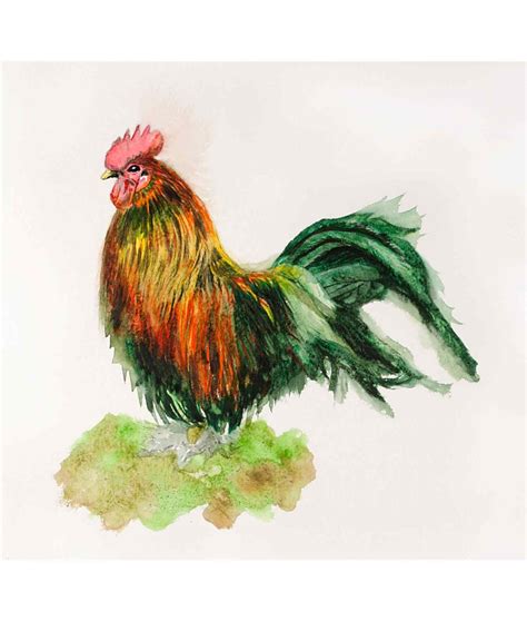 Original Rooster Watercolor - Lori Small Studios