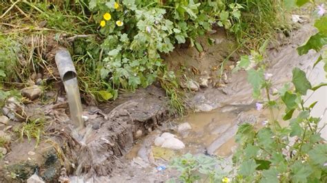 Invasiones contaminan cauces del Río Tijuana Costa Salvaje Semanario