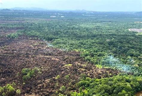 Carian Mengenai Topik Kebakaran Hutan Tanah Gambut Astro Awani