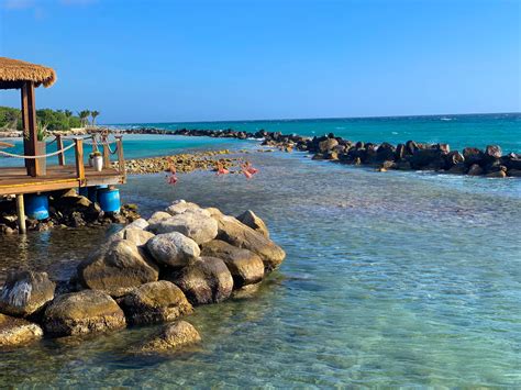 Everything you need to know about visiting Flamingo Beach, Aruba! — The