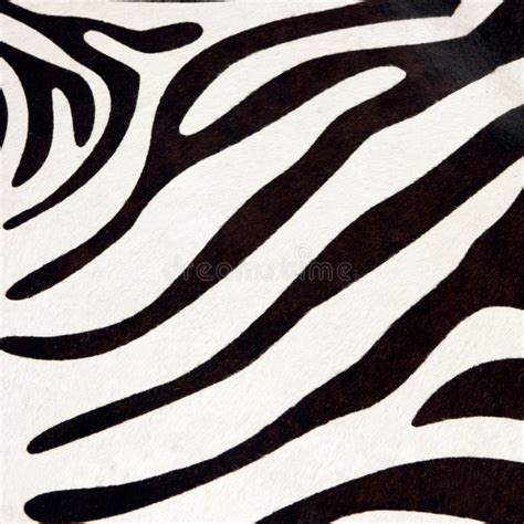 Texture Of Print Fabric Striped Zebra And Leopard Stock Image Image