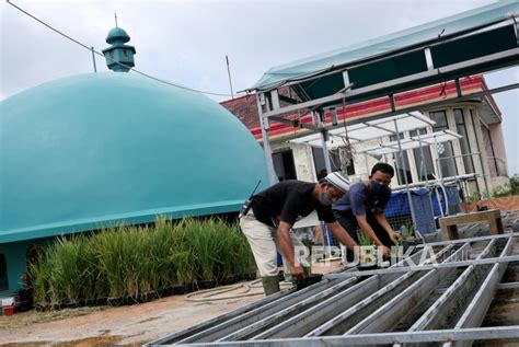 Bercocok Tanam Hidroponik Di Atap Masjid Republika Online