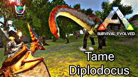 Tame Diplodocus Ark Survival Evolved Mobile Youtube