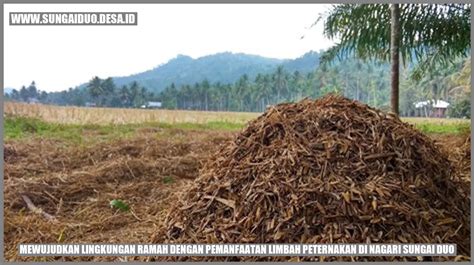 Luar Biasa Transformasi Limbah Peternakan Jadi Lingkungan Ramah Di