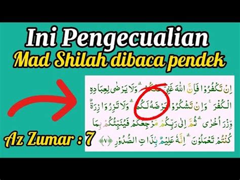 Pengecualian Mad Shilah Qasirah Ha Dhamir Dibaca Pendek Latihan