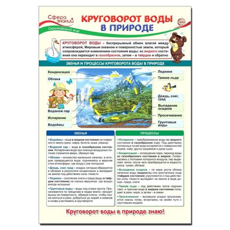 Плакат 23*42см "Окружающий мир в начальной школе. Круговорот воды в ...