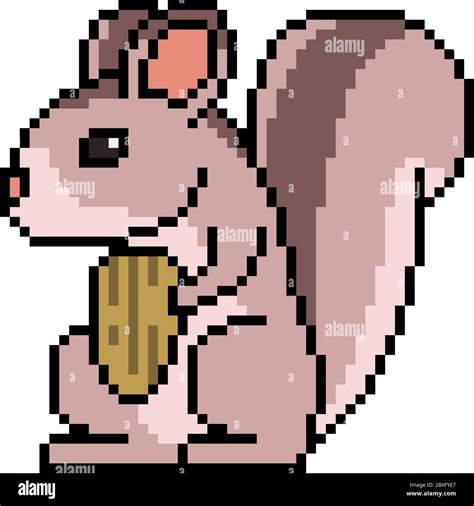 Vector Pixel Art Squirrel Nut Stock Vector Image And Art Alamy