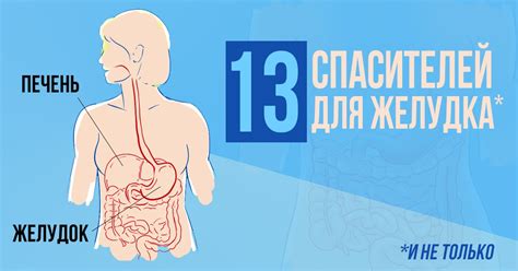 Полезные продукты для желудка