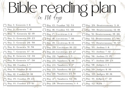 Bible Reading Plan - Etsy