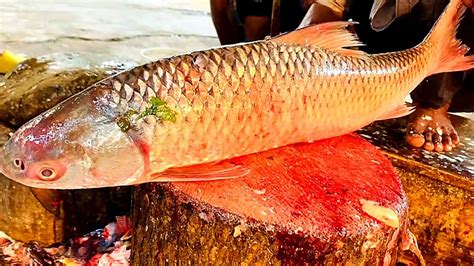 Amazing Giant Carp Fish Cutting Skills Fastest Live Big Carp Fish