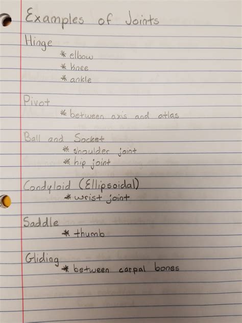 Examples of Joints for Medical School Studying