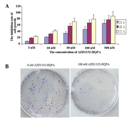 Inhibitory Effect Of Azd1152 Hqpa On The Growth Of U2 Os Cells A Mtt