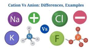 Cation Vs Anion Definition Differences Examples Phd Nest