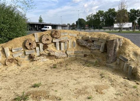 Kruisbestuivers Regionaal Landschap West Vlaamse Hart