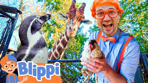 blippi visits the zoo and feeds - Youtube Kids