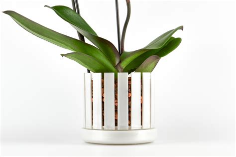 Home - Orchitop® - DER patentierte Orchideentopf