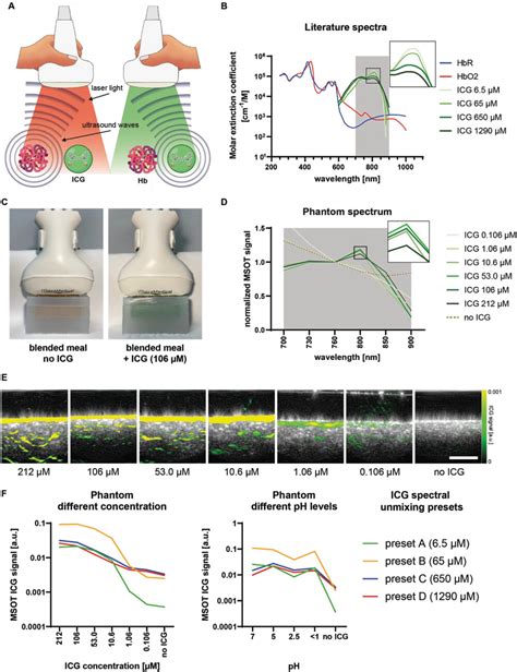 Contrastenhanced Multispectral Optoacoustic Tomography For Functional