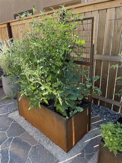 Nice Trellis Trough - Nice Planter - Space To Grow