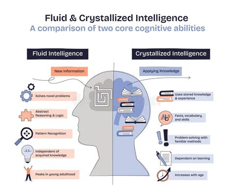 Inteligência Fluida E Cristalizada - El Diagrama De Inteligencia Fluida Y Cristalizada Muestra Los Libros De ...